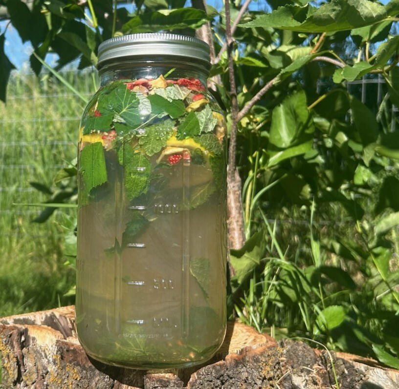 Sun Teas
