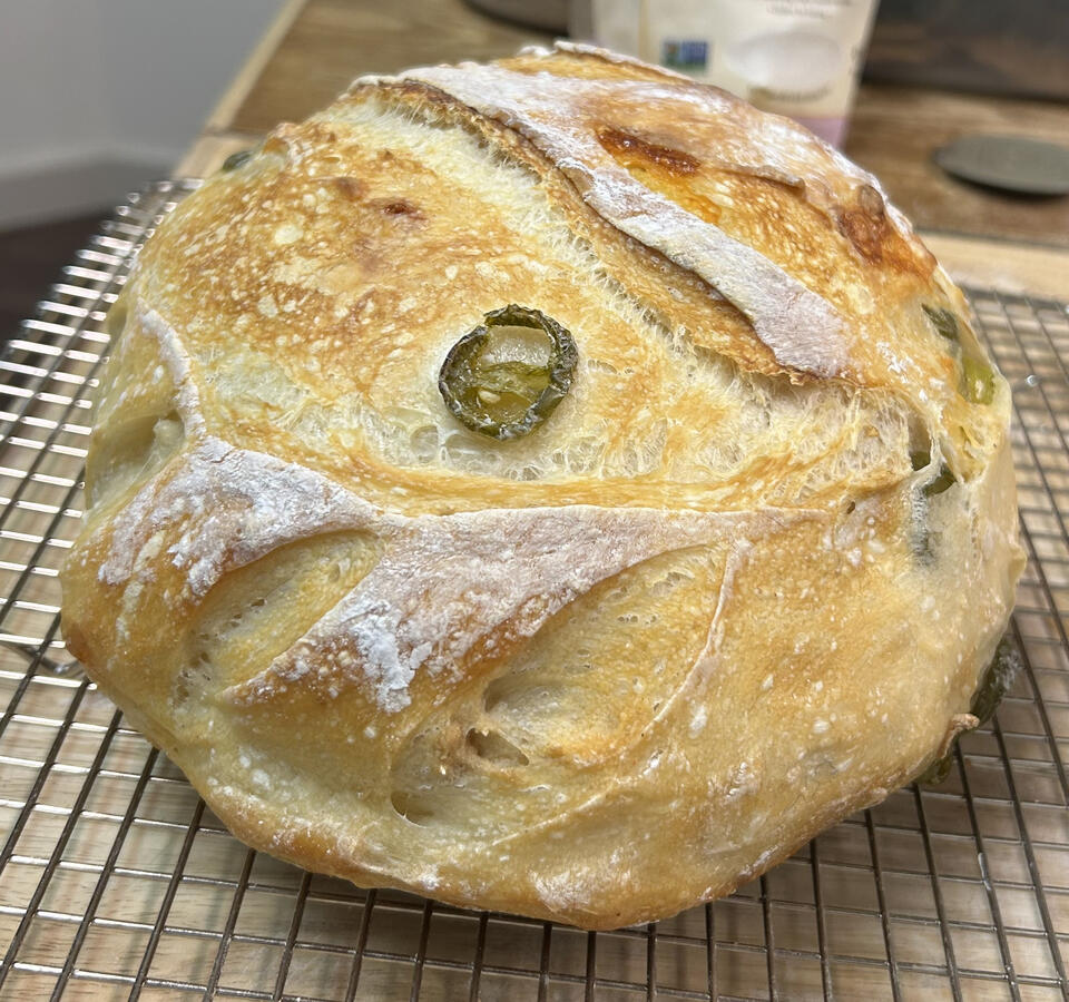 Honey Sourdough Rolls