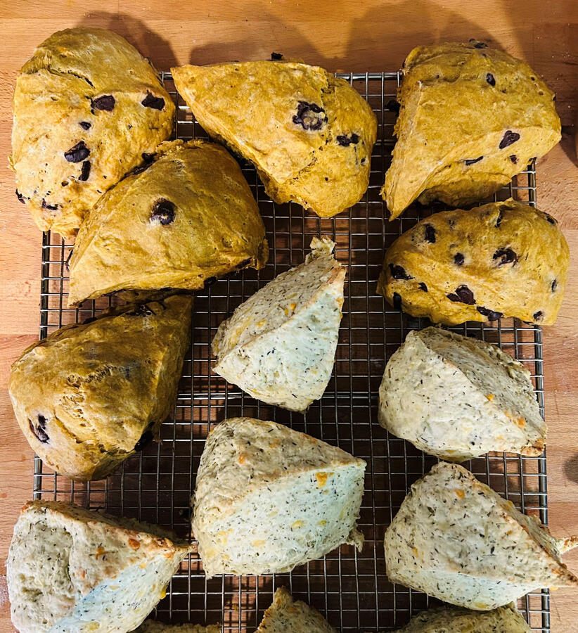 Pumpkin Chocolate Chip & Italian Herb Scones